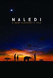 Naledi: A Baby Elephant' s Tale streaming