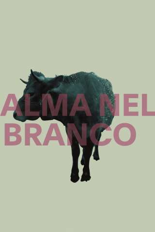Alma in the Herd [CORTO] streaming
