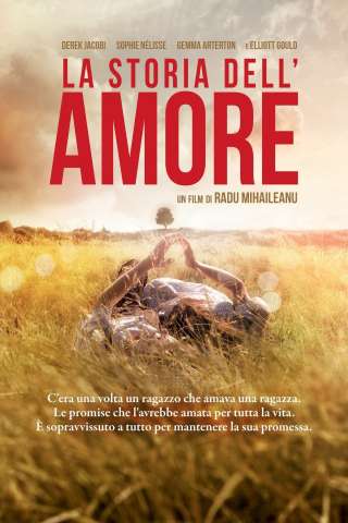 La storia dell'amore streaming
