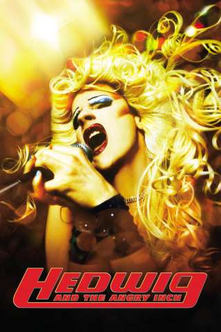 Hedwig - La diva con qualcosa in più streaming