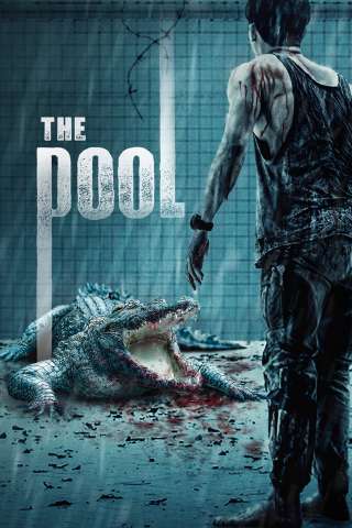 The Pool (2018) streaming