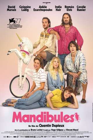 Mandibules - Due uomini e una mosca streaming