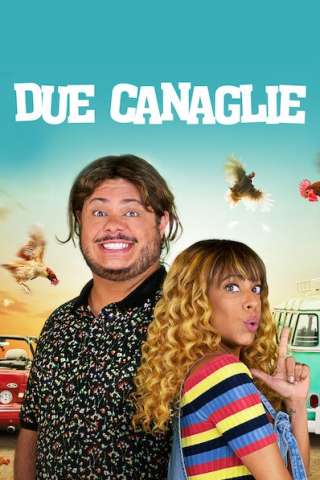 Due canaglie streaming