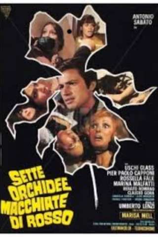 Sette orchidee macchiate di rosso streaming