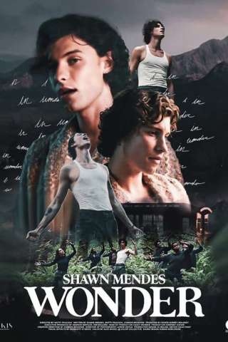 Shawn Mendes: In Wonder streaming