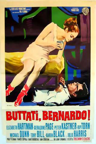 Buttati, Bernardo! streaming