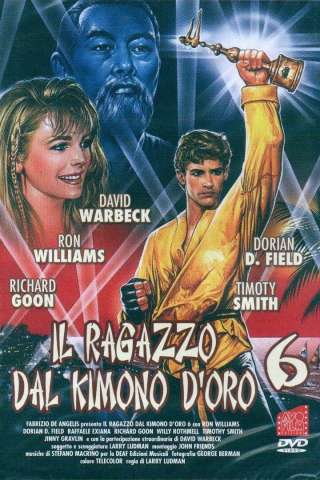 Il ragazzo dal kimono d'oro 6 streaming
