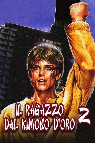 Il ragazzo dal kimono d'oro 2 streaming
