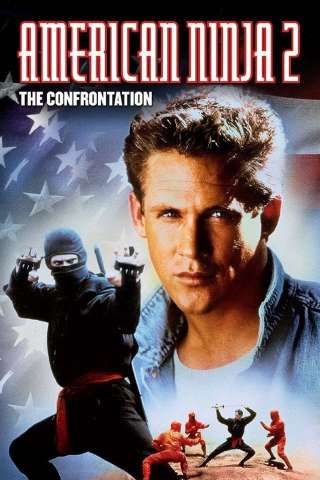 Guerriero Americano 2 - La sfida streaming