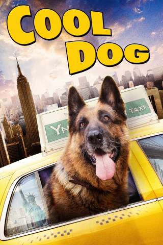 Cool Dog - Rin Tin Tin a New York streaming