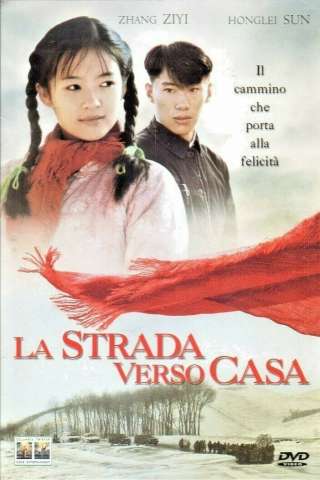 La strada verso casa streaming