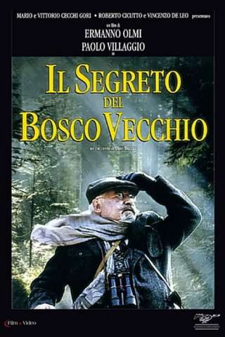 Il segreto del bosco vecchio streaming