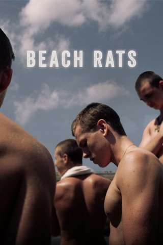 Beach Rats streaming