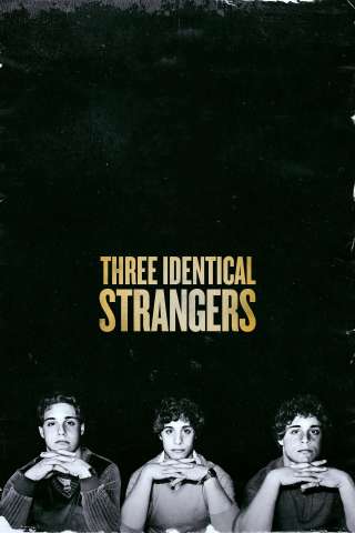 Three Identical Strangers streaming