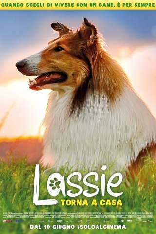 Lassie torna a casa streaming
