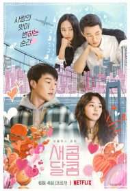 Sweet and Sour streaming