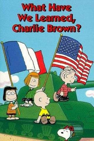 Che cosa abbiamo imparato, Charlie Brown? streaming