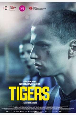 Tigers streaming