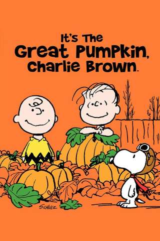 IL GRANDE COCOMERO, CHARLIE BROWN streaming
