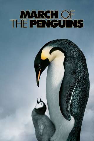 La marcia dei pinguini streaming