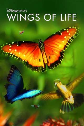 Wings of Life streaming