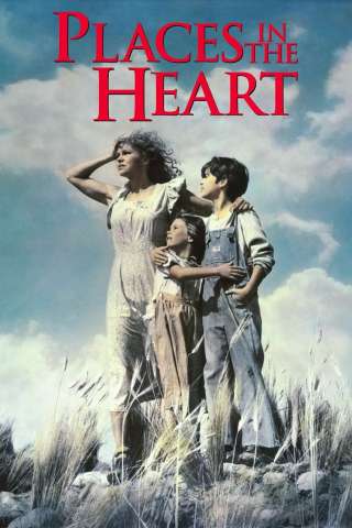 Le stagioni del cuore streaming