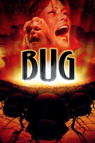 Bug - Insetto di fuoco streaming