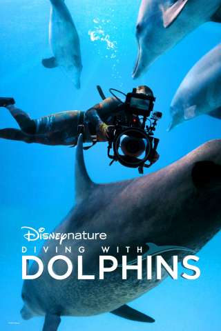 Il mondo nascosto dei delfini streaming