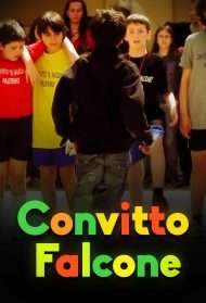 Convitto Falcone streaming
