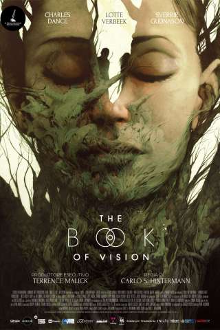 The Book of Vision streaming