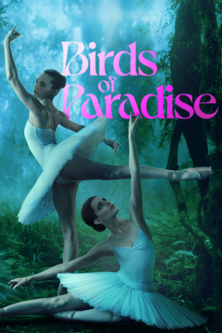 Uccelli del paradiso streaming