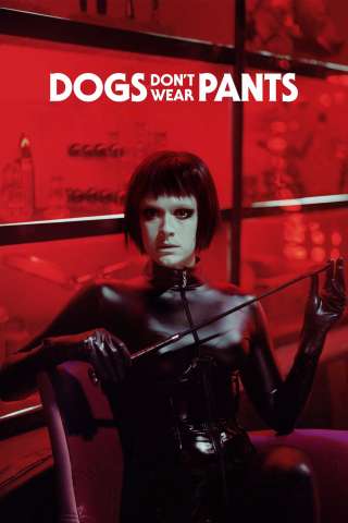 Dogs Don't Wear Pants streaming