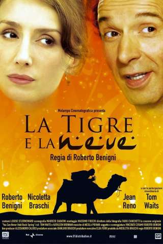 La tigre e la neve streaming