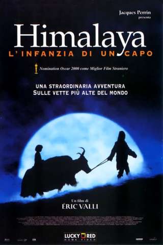Himalaya – L’infanzia di un capo streaming