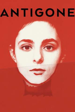 Antigone streaming