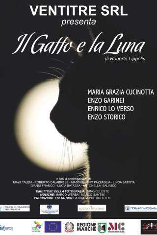 Il gatto e la luna streaming