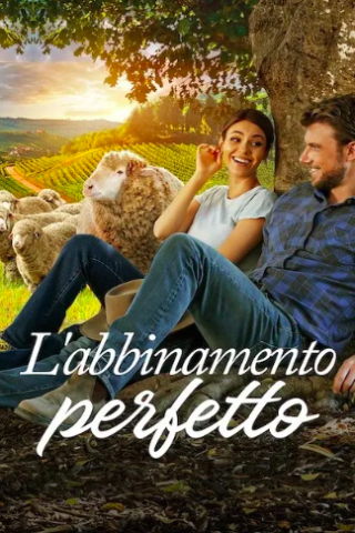 L'abbinamento perfetto streaming