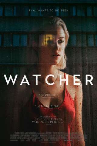 Watcher streaming