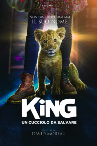 King - Un Cucciolo da Salvare streaming