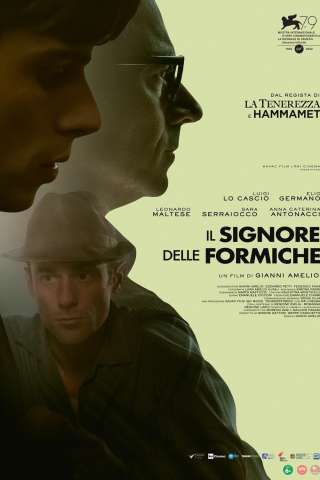 Il signore delle formiche streaming