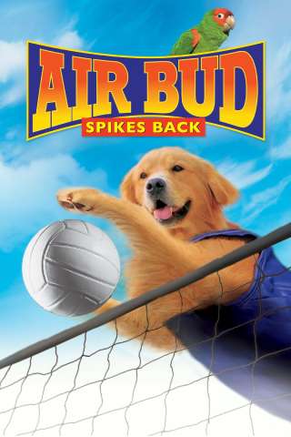 Air Bud 5 - Un amico dal tocco magico streaming