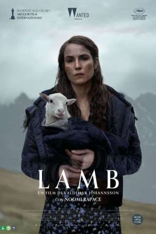 Lamb streaming