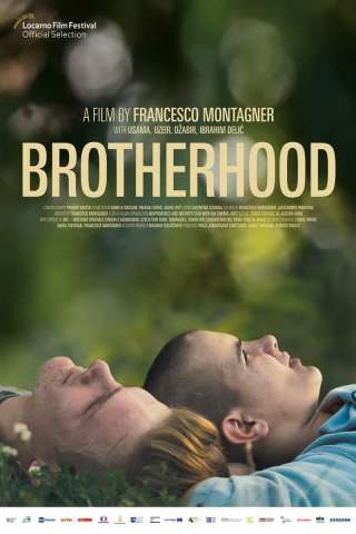 Brotherhood streaming