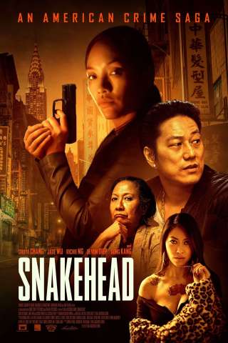 Snakehead - I boss di Chinatown streaming