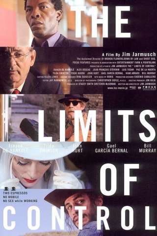 The Limits of Control streaming