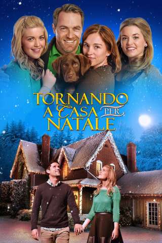Tornando a casa per Natale streaming