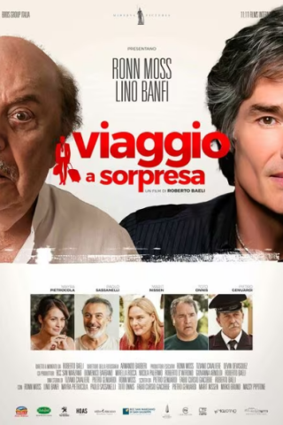 Viaggio a sorpresa streaming