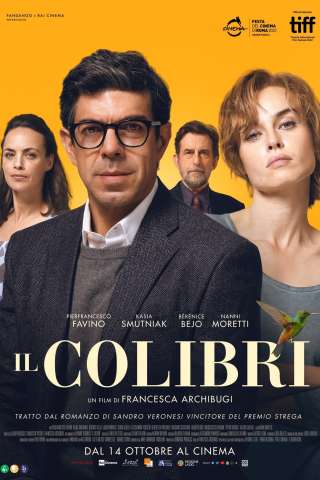 Il colibrì streaming