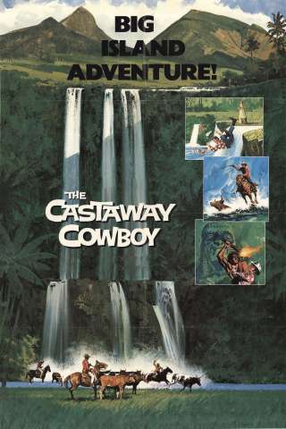 Un cowboy alle Hawaii streaming