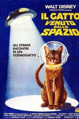 Il gatto venuto dallo spazio streaming